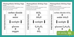 Photosynthesis Writing Flaps Teacher