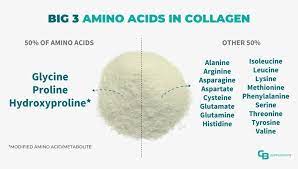 what amino acids are in collagen is