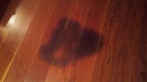 black urine stains from hardwood floors