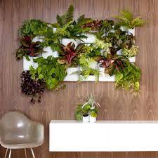 living walls bring container gardening