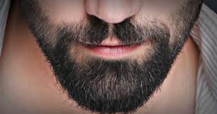 It's also handy to shape your mustache into whatever. When Should You Start To Use Beard Oils And Balms The Beard Struggle