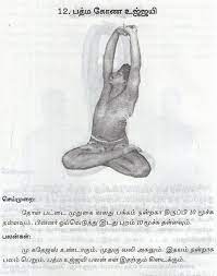 200 yoga asanas with pictures