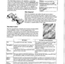 The federal government consists of three branches: 34 Congress In A Flash Worksheet Answers Worksheet Project List
