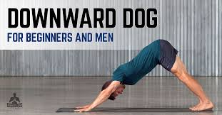downward dog for beginneren