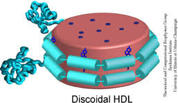 Hdl automation is a manufacturer of comprehensive automation systems and provider of integrated. Hdl And Nanodiscs