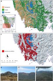 forest and sedgeland in tasmania maps