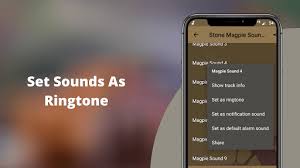 When using caller id tracker you will be notified of new calls and the system will display . Download Magpie Sounds Stone Magpie Hunting Calls Free For Android Magpie Sounds Stone Magpie Hunting Calls Apk Download Steprimo Com