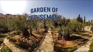 virtual tour garden of gethsemane