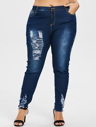 Rosegal Plus Size Floral Embroidered Torn Jeans Women Pant