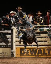 pbr bull riding rodeo wallpaper