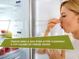 fridge smells bad even after cleaning