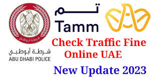 how to check traffic fine uae
