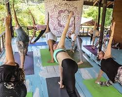 yoga teacher training in koh phangan