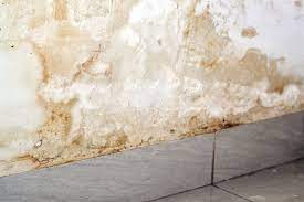 Mold In Your Basement Affect Upstairs