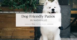 dog friendly patios in nashville