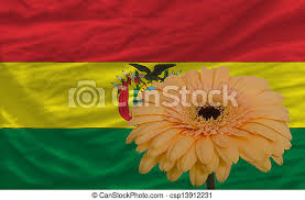 Flagge von bolivien oder bolivianische fahne auf leinwand. Gerbera Blume Vor Der Nationalen Bolivia Flagge Gerbera Daisy Blume Und Nationale Bolivia Flagge Als Konzept Und Symbol Fur Canstock