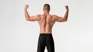 tricep calisthenics the best workouts
