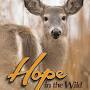 hope in the wild tv show from googleweblight.com
