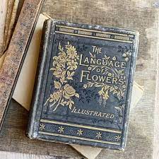 These projects are then made available on the internet for everyone to enjoy, for free. Vintage Flowers Book Book Aesthetic Antique Books Book Inspiration
