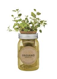 Modern Sprout Garden Jar Oregano