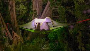 Trust me, i'm speaking from experience. Tentsile Tree Tent Arrive At Wedo Hammocks
