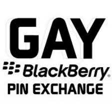 GAY BBM PIN EXCHANGE (@GAY_BBM) / Twitter