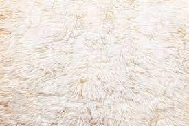 white fur carpet stock photo by