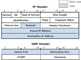 header fields in the ip and udp header