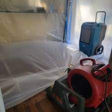 carpet cleaning near del ray