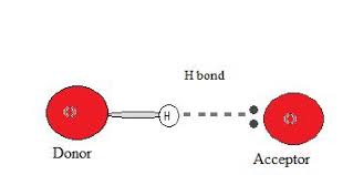 Hydrogen Bonding Chemistry Libretexts