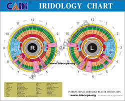 Iridology Chart Iridology Health Images Iridology Health Map
