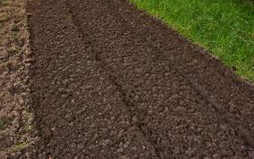 rocky soil for gr seed