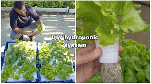 diy hydroponic garden how to design