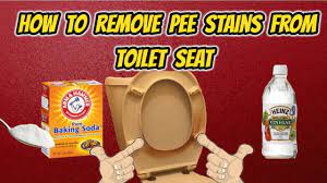 remove stains from toilet seat