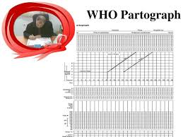 Ppt Who Partograph Powerpoint Presentation Free Download