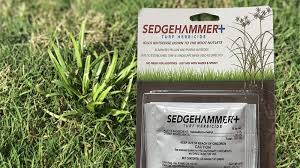 sedgehammer to control nutsedge