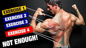 the perfect back workout sets and reps