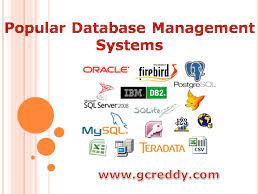 por database management systems