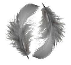 symbolism of grey feathers