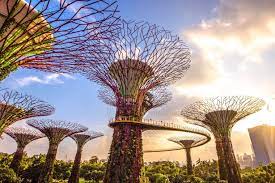 gardens by the bay tourist guide