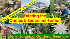 berlin cactus succulent collection