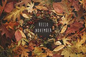1,612 BEST "Hello November" IMAGES, STOCK PHOTOS & VECTORS | Adobe Stock