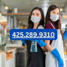 carpet cleaners west seattle 2024 best