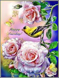 Happy Tuesday With Birds And Roses ...
