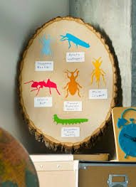 Easy Kids Craft Insect Identification Chart Mod Podge Rocks