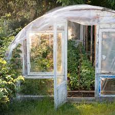 Beginners Greenhouse Vegetable Growing