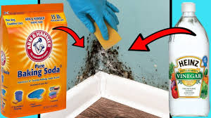 get rid of black mold naturally
