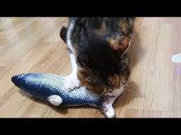 It kicks just like a real fish when touched and stops itself when left alone. Moving Fish Cat Toy Review 2020 Does It Work Youtube