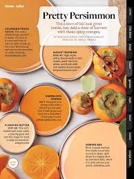 Pretty Persimmon Paint Colors For