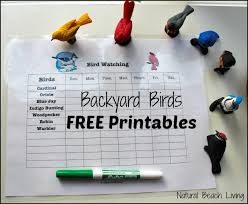 Observing Learning Backyard Birds With Free Printables